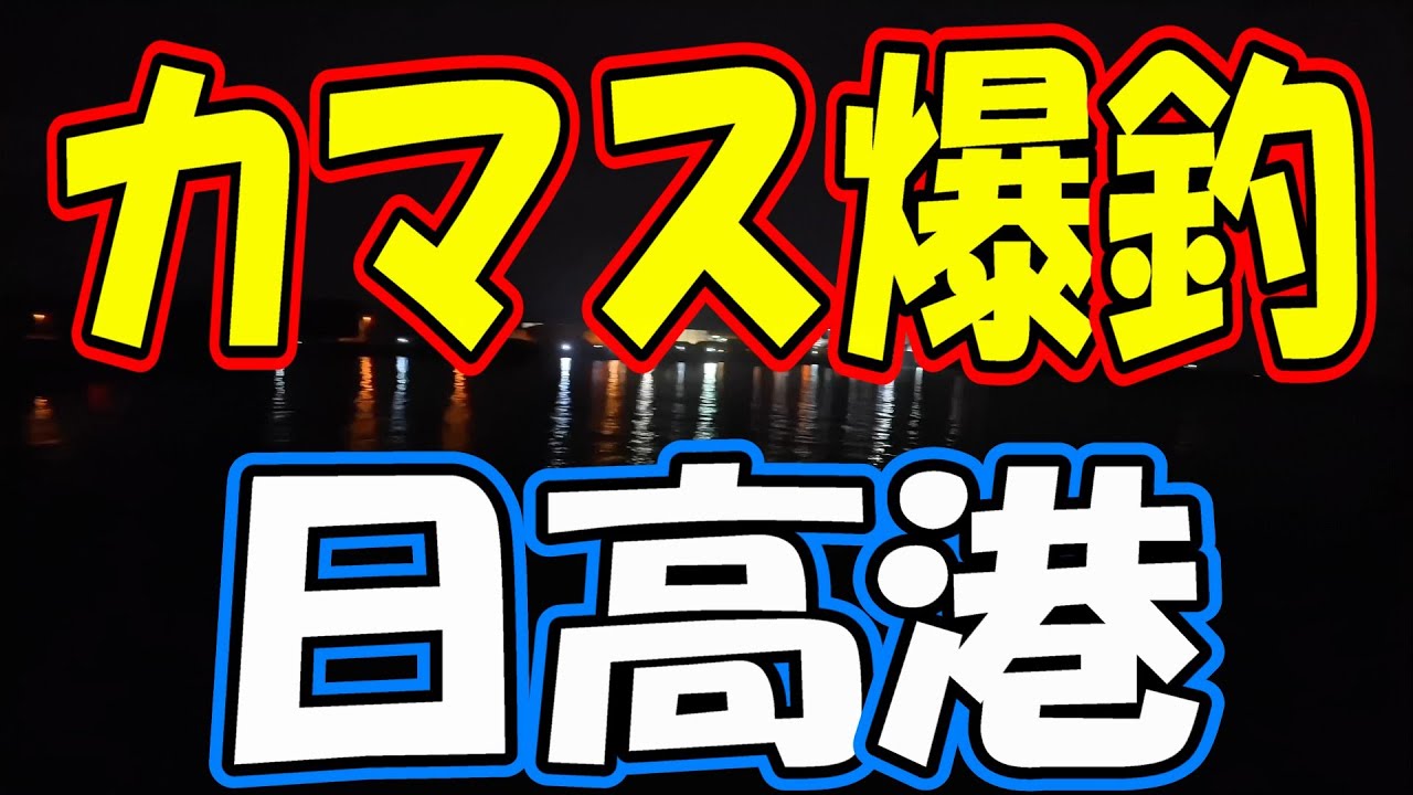 【爆釣】カマスが釣れすぎる場所！