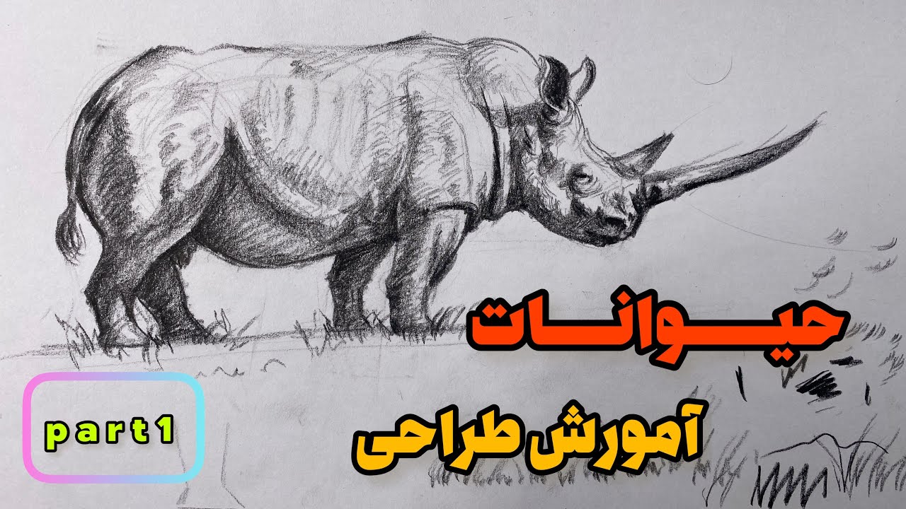 طراحی حیوانات جلسه اول