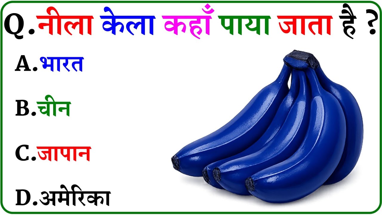 GK Question || GK In Hindi || GK Question and Answer || GK Quiz ||