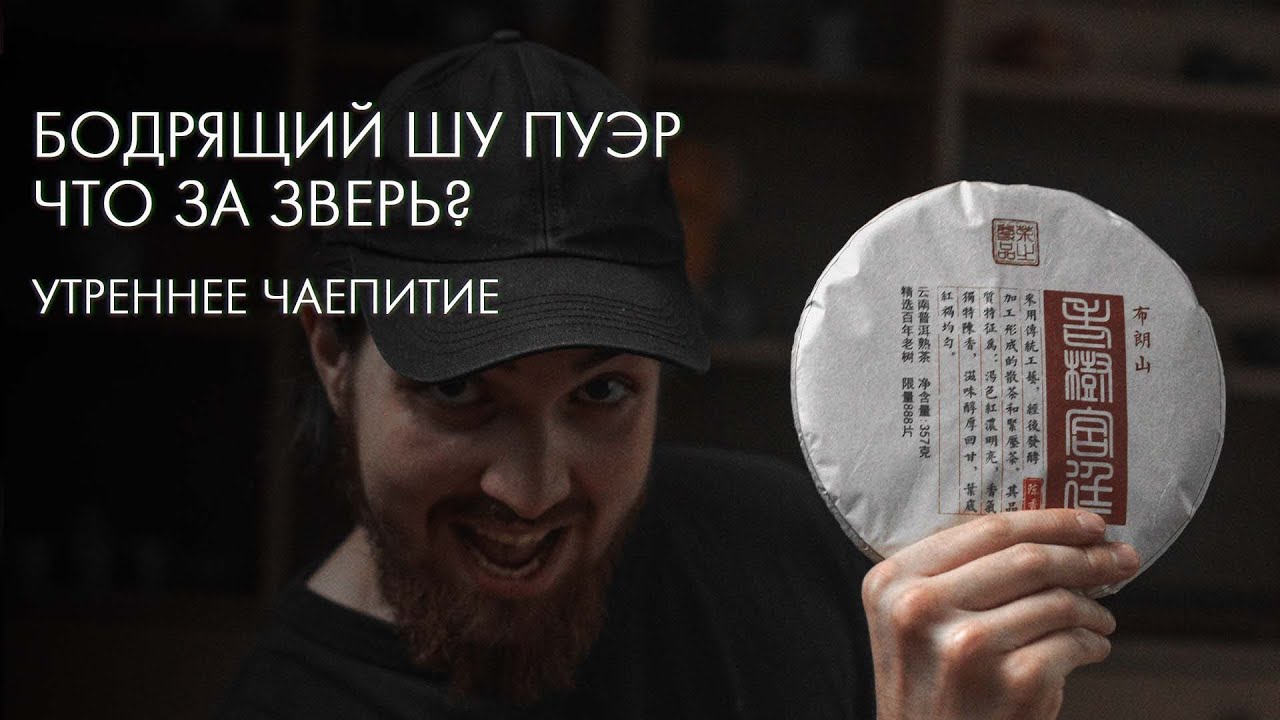 Бодрящий шу пуэр: какой выбрать, как заваривать | Опыт Art of Tea
