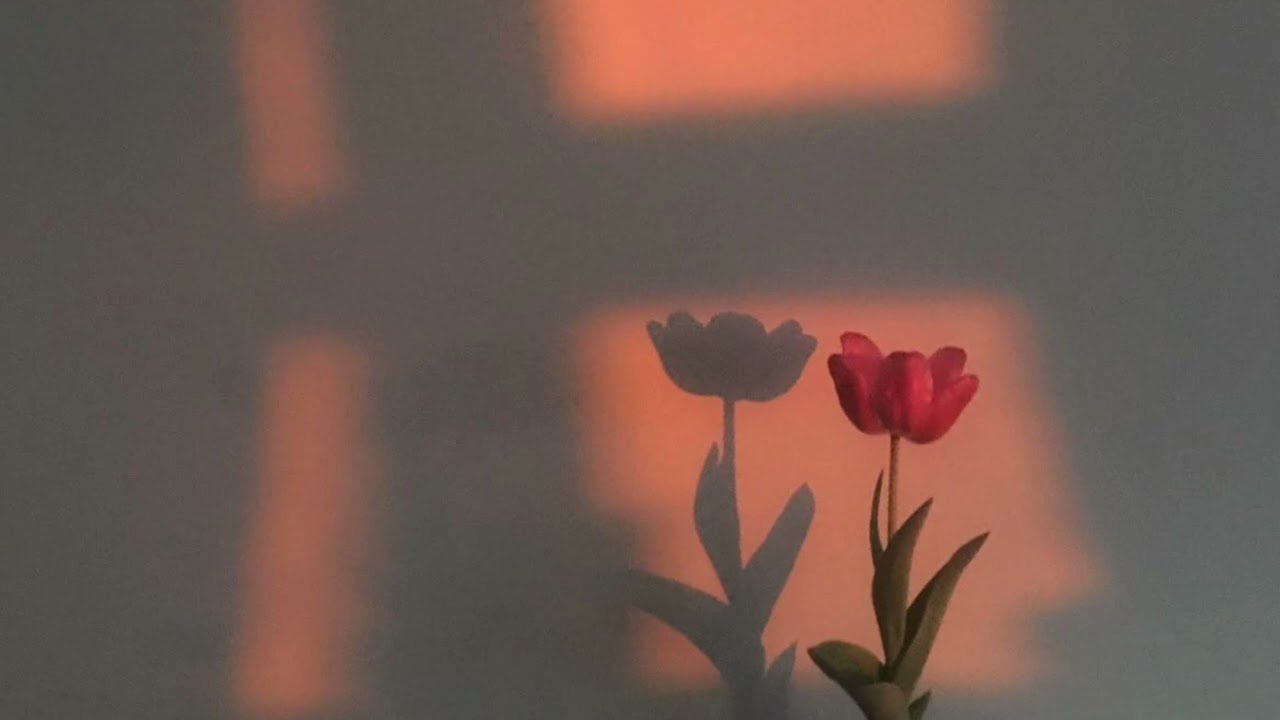 Prendre les devants (Rap Afrobeat)