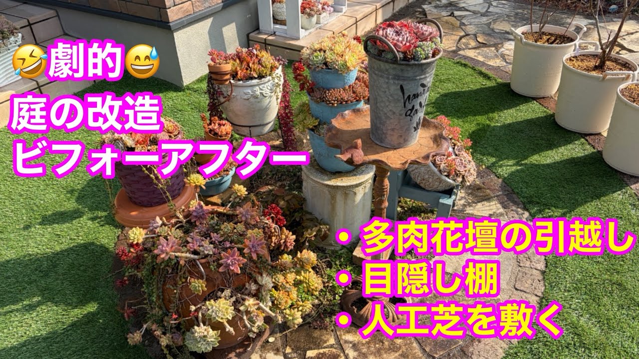 【Vlog269】劇的❓庭の改造ビフォーアフター/多肉花壇の引越し・目隠し棚の設置・人工芝を敷く