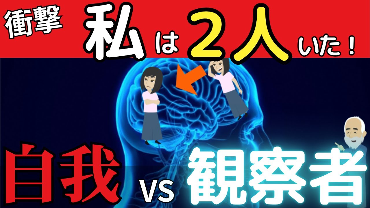 【衝撃】私の中に“もう一人の私”がいた｜自我vs観察者【メタ認知で人生が変わる】