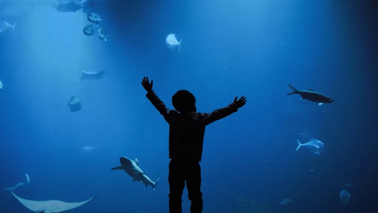 Jovem Dionisio - Pontos de Exclamação (Vintage Culture & Future Class Remix)