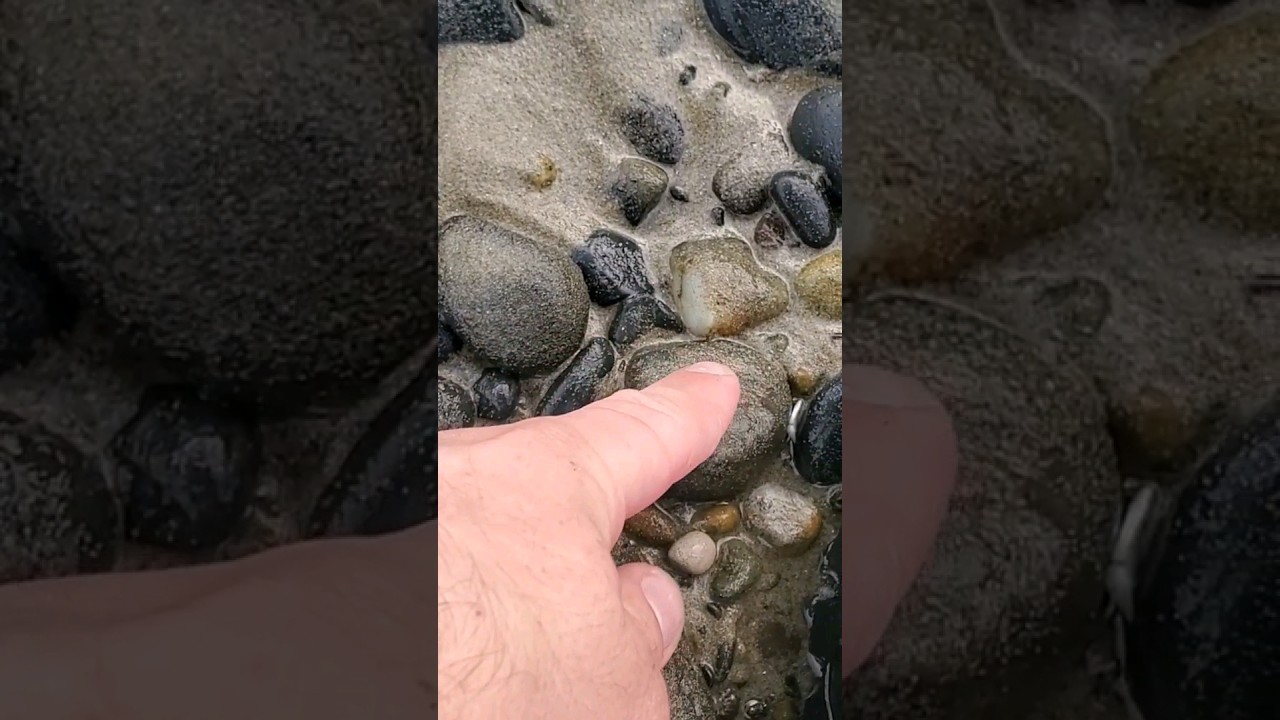 2 Big Agate Nodules on the Beach! | Episode 26