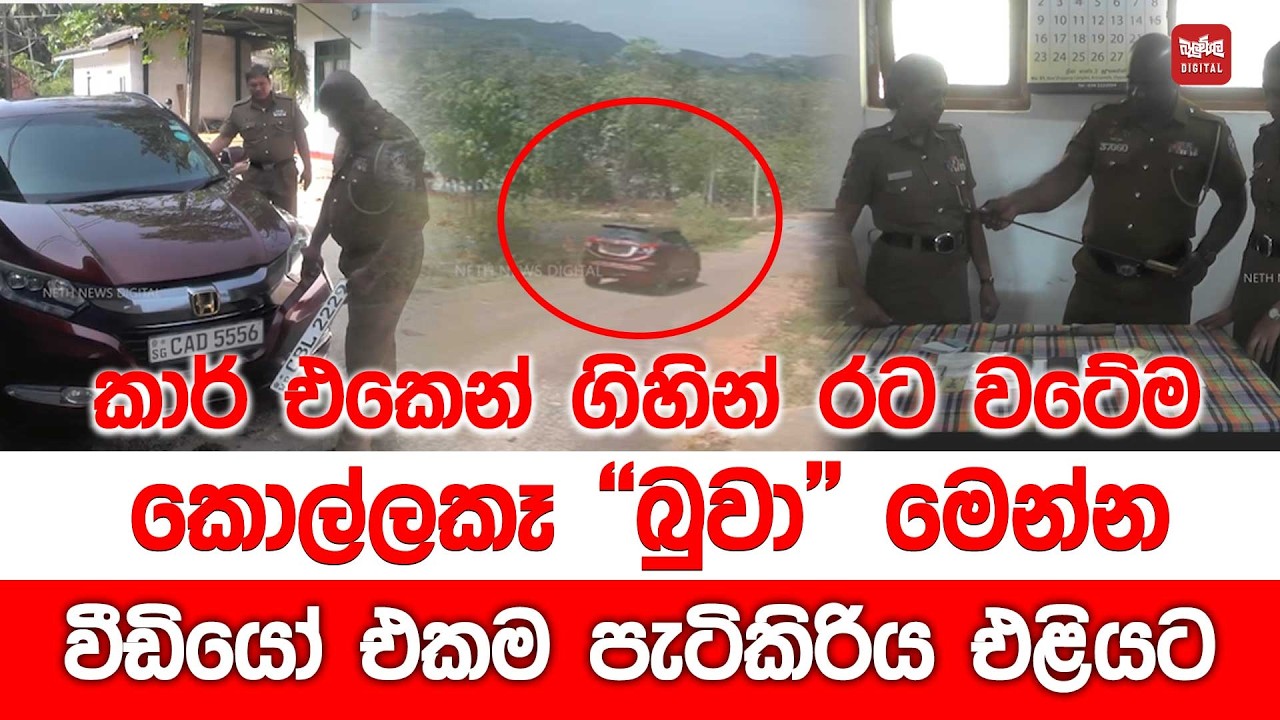 කාර් එකෙන් ගිහින් රට වටේම කොල්ලකෑ 
