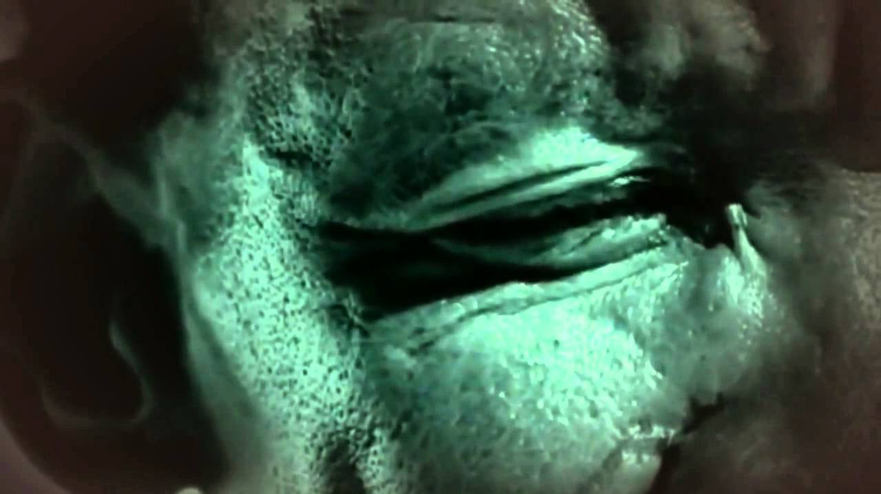 The Journey of Man  A Genetic Odyssey