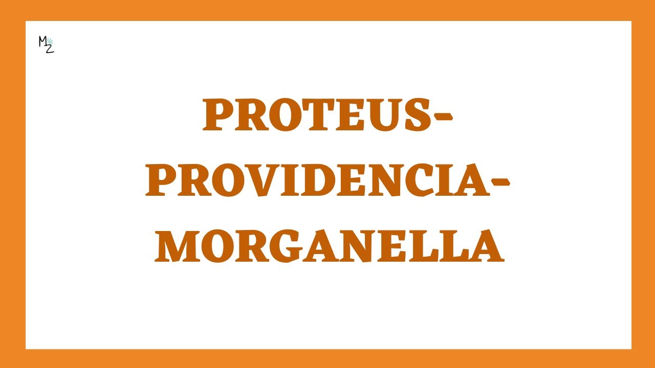 Introduction to Proteus | Morphology, Pathogenesis, Clinical Findings, Lab Diagnosis