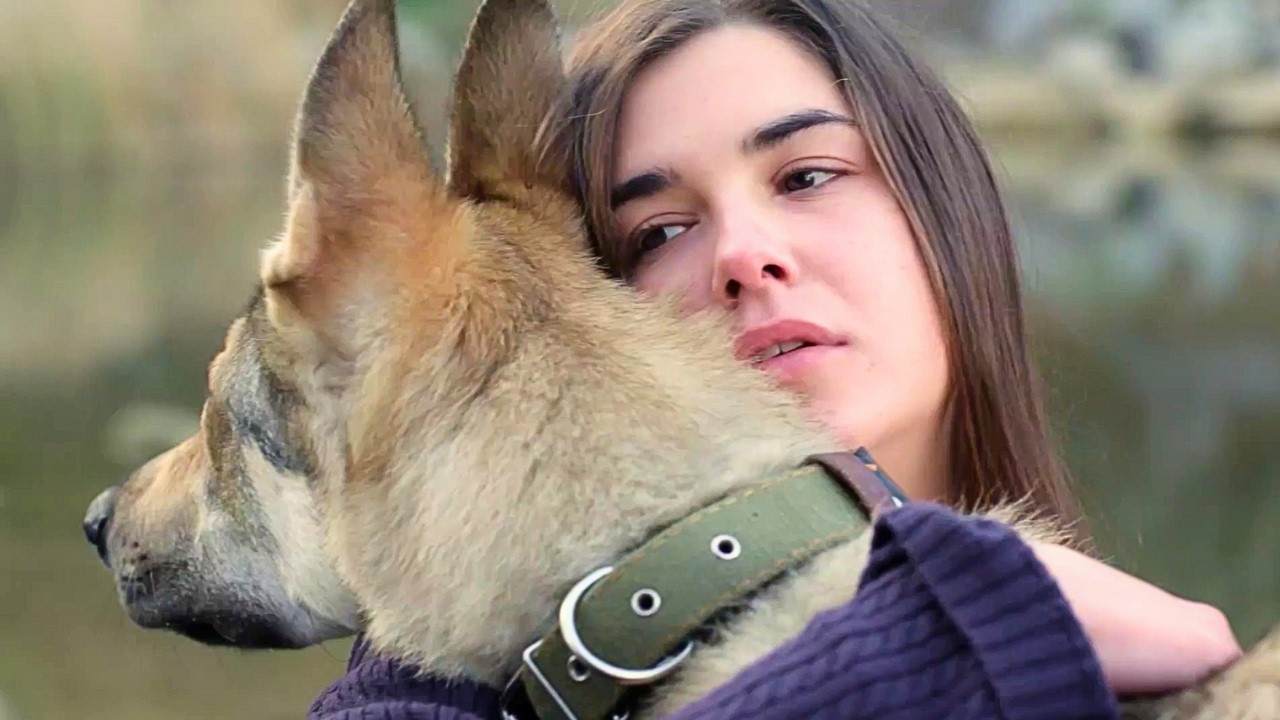 ¿PODRÁ EL AMOR SOBREVIVIR AL FUEGO? UNA HISTORIA REAL DE LA SEGUNDA GUERRA MUNDIAL💥 DZHULBARS