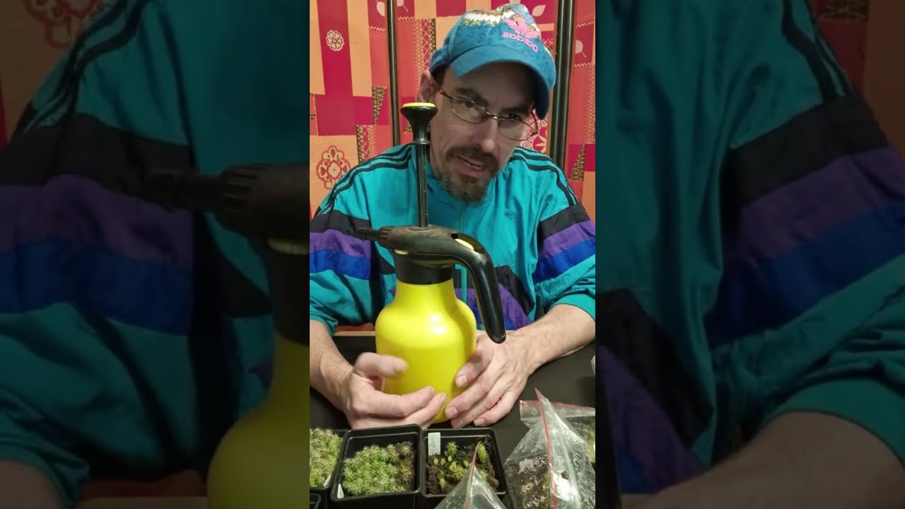 Cactus Livestream / General Q&A / Sowing out & vegetables (Patrick Noll) February 1st, 2026
