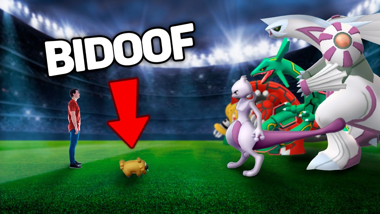 Przywiozłem BIDOOFA na oficjalny turniej Pok&eacute;mon