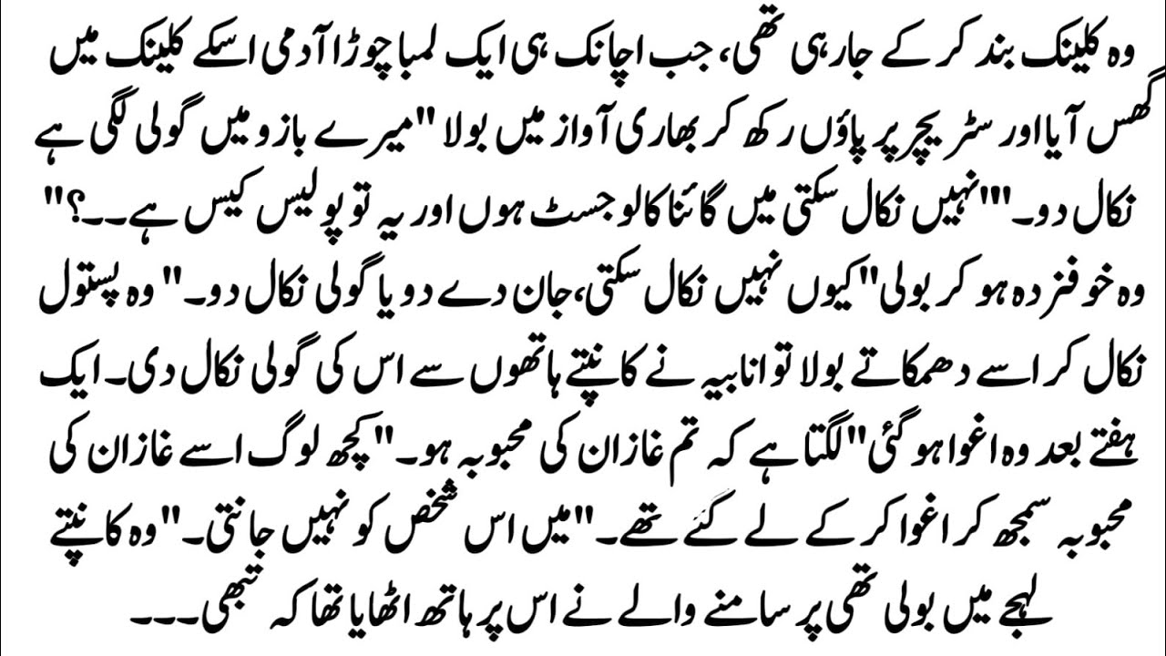 Urdu Novel 