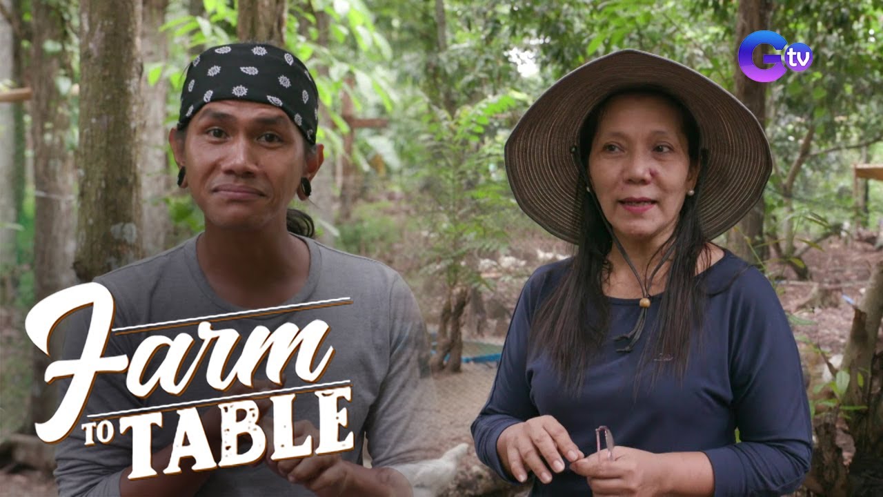 Farm To Table:  Chef JR Royol learns the difference between pato, bibe and itik