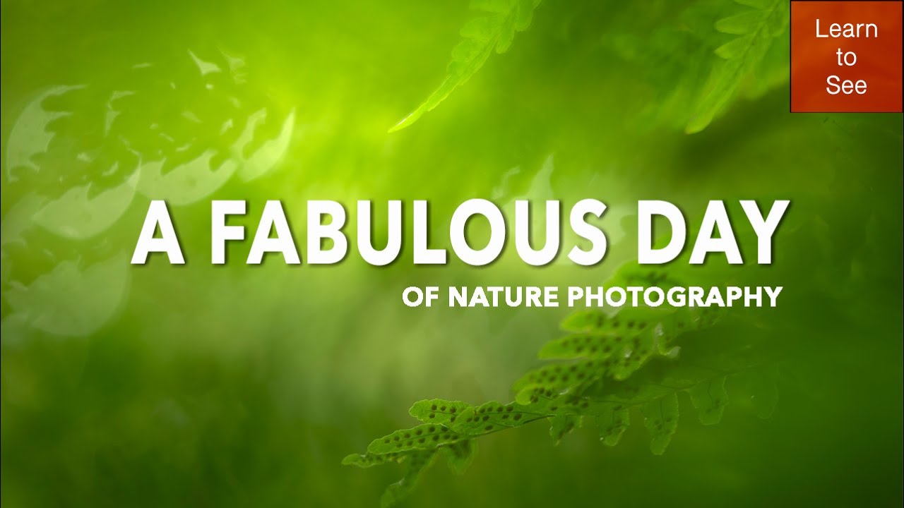 Одна прогулка, три прекрасных открытия | Фотография природы