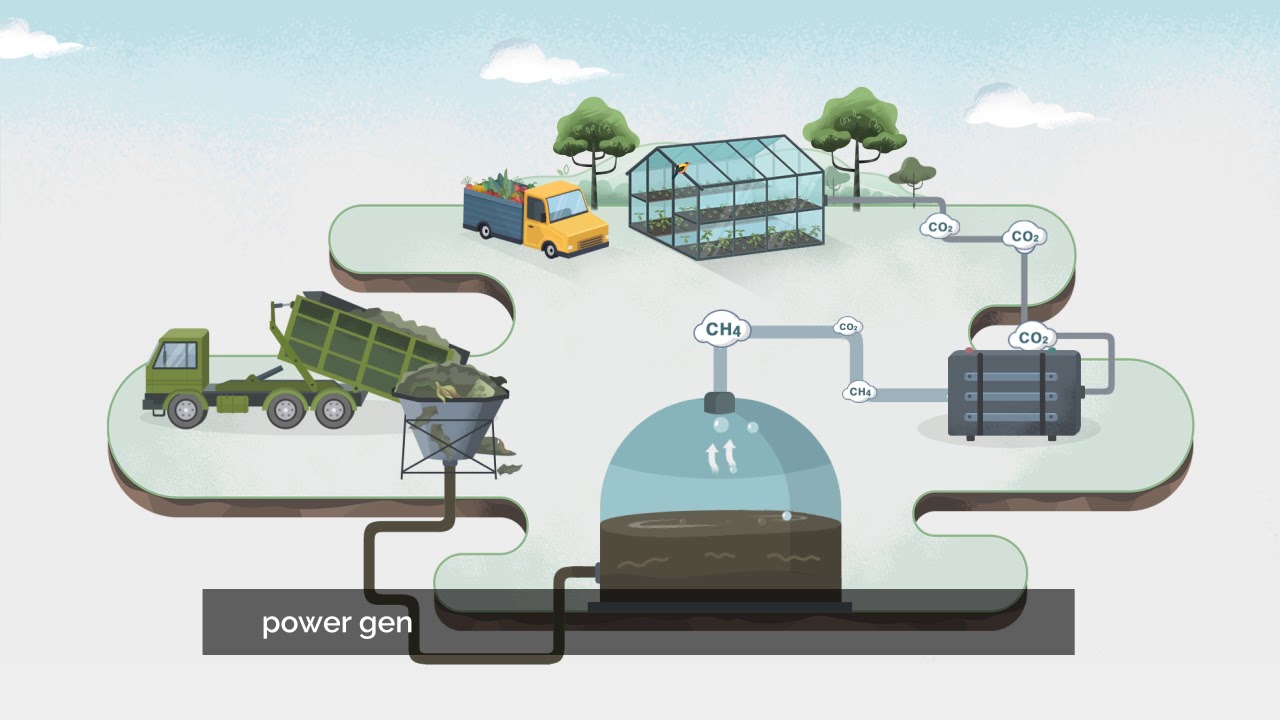 Explainer Video  Enesys Enhanced Greenhousing Captioned
