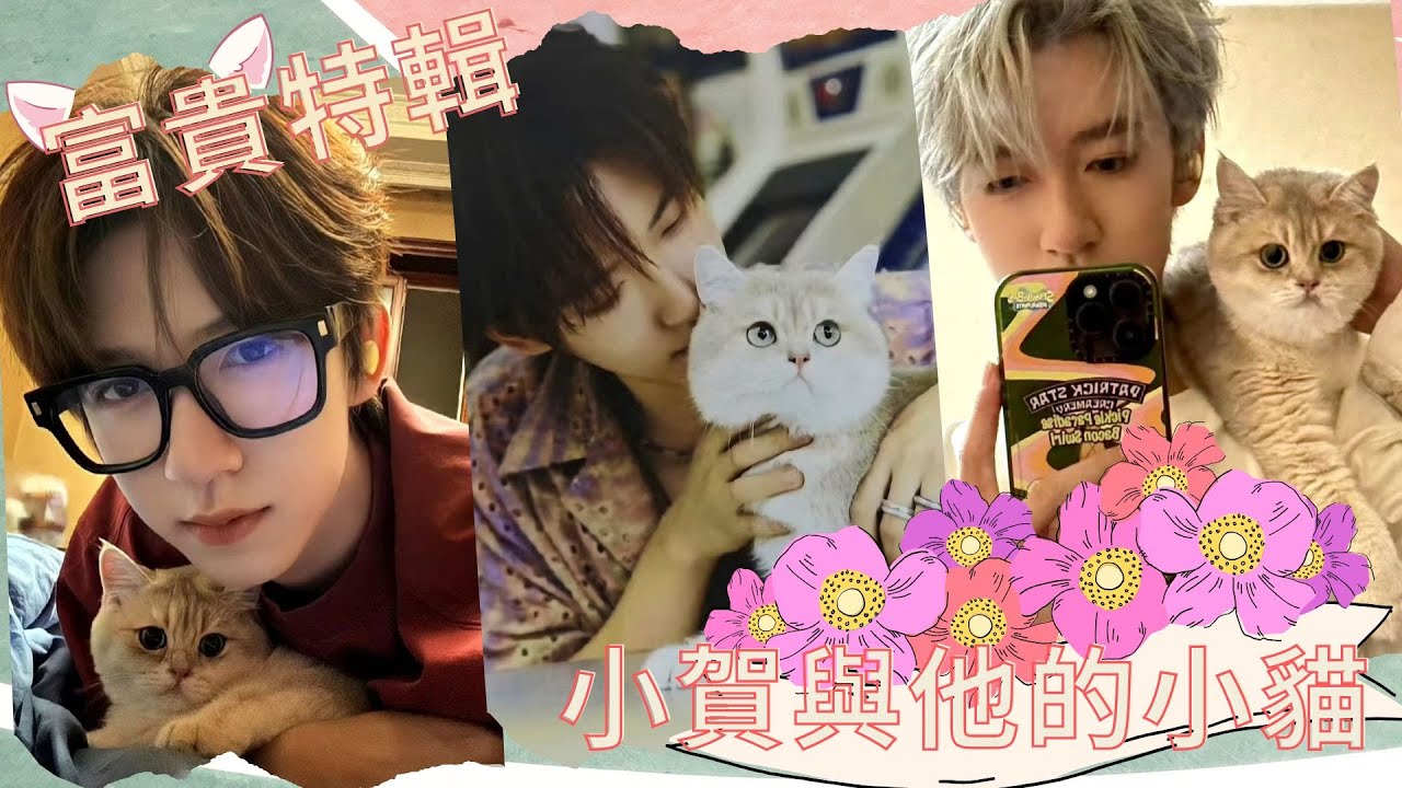 【TNT時代少年團】好乖好漂亮啊！小賀兒與他的治癒小貓富貴vlog