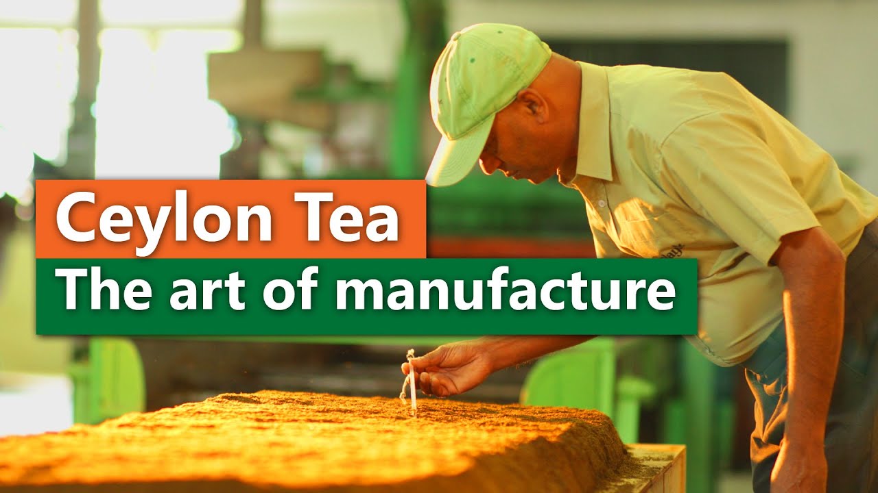 Ceylon Tea  - The art of manufacture