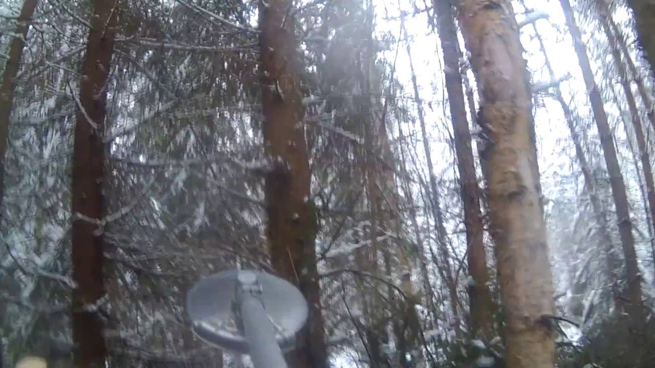 Röjning Med Husqvarna 555FXT