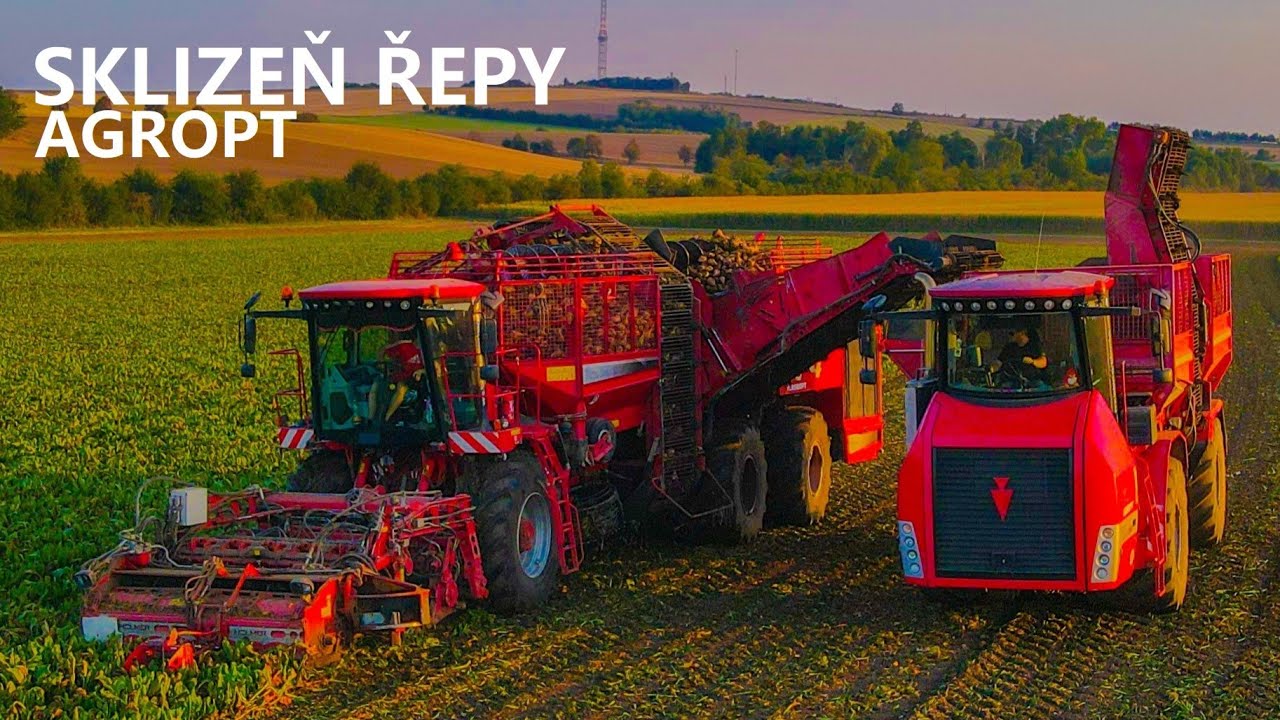 Sklizeň řepy I Holmer Terra Dos T4-40 & Variant 600 I AGROPT