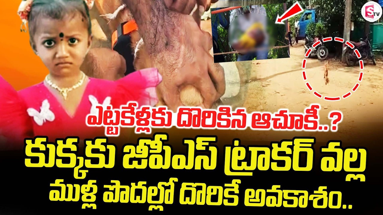 LIVE🔴: ముళ్ల పొదల్లో పాప..! | Latest Updates in 3 Year's Baby | SumanTV Deepika |@sumantvtirupati