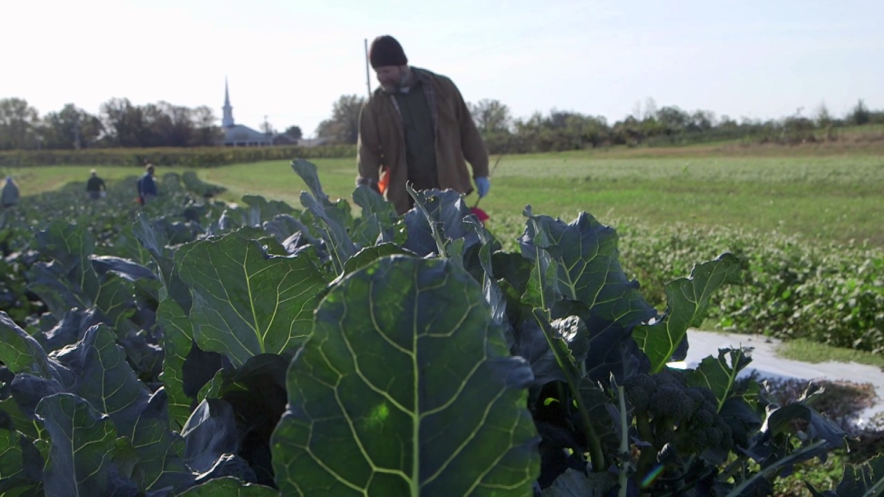 Pre Harvest Wildlife Check  - Produce Best Practices Training