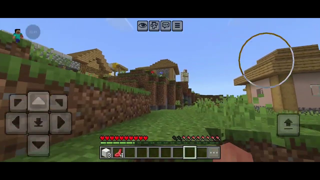 Minecraft survival 1