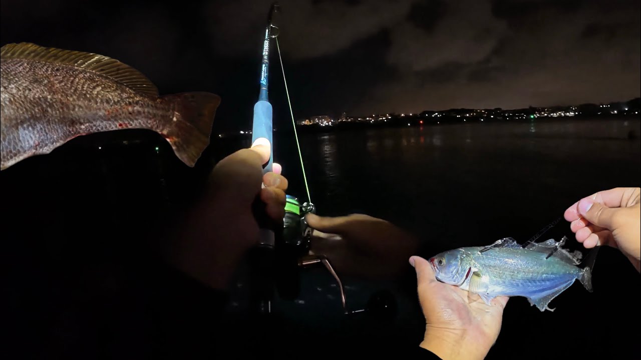 &ldquo;We Did NOT Expect This Hookup&hellip;. Swan River Mulloway Mission!&rdquo;