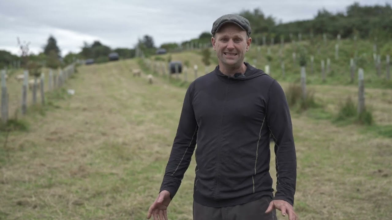 International Agroforestry Conference 2023 Farm Walk Rossa Gibbons, Skibbereen