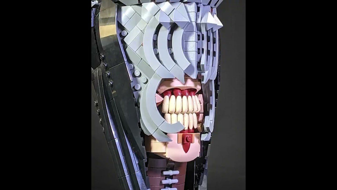 Does One Piece Save This LEGO Lord of the Rings Set?!?!