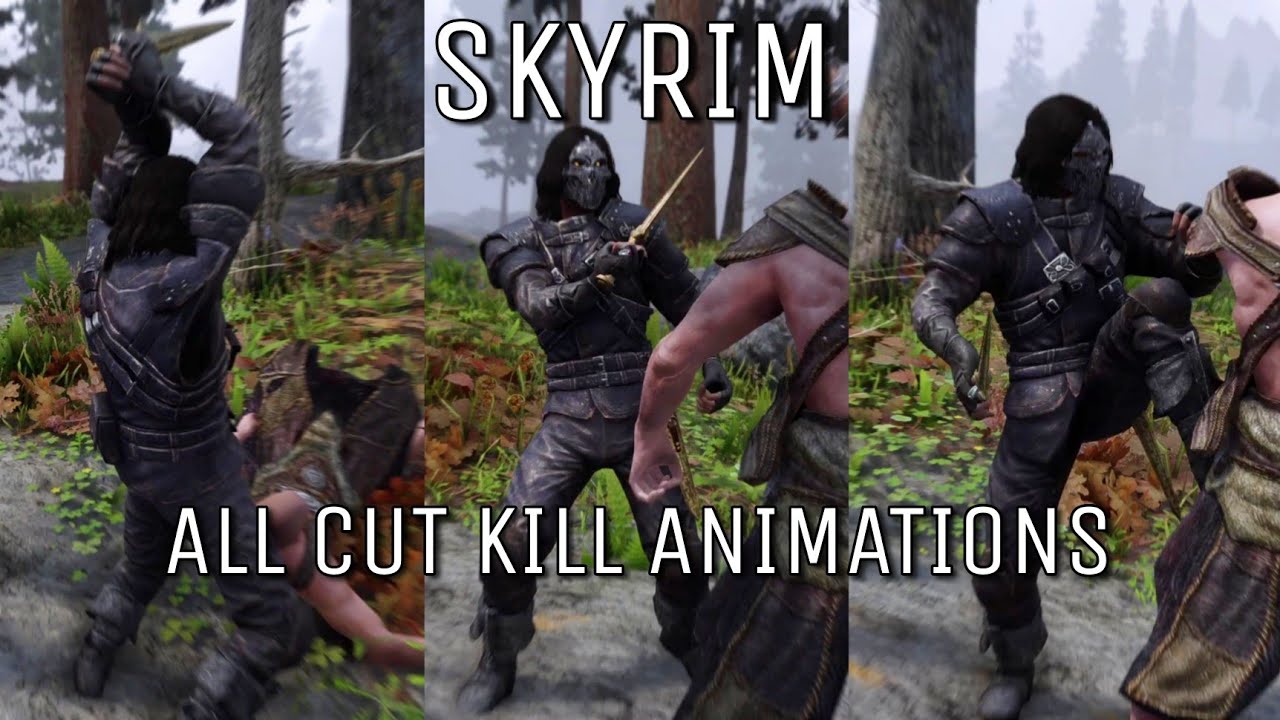 Skyrim why did Bethesda cut these animations?