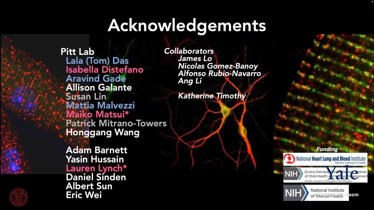 Lessons From the Heart: New Insights Into Physiology From Ion Channelopathies