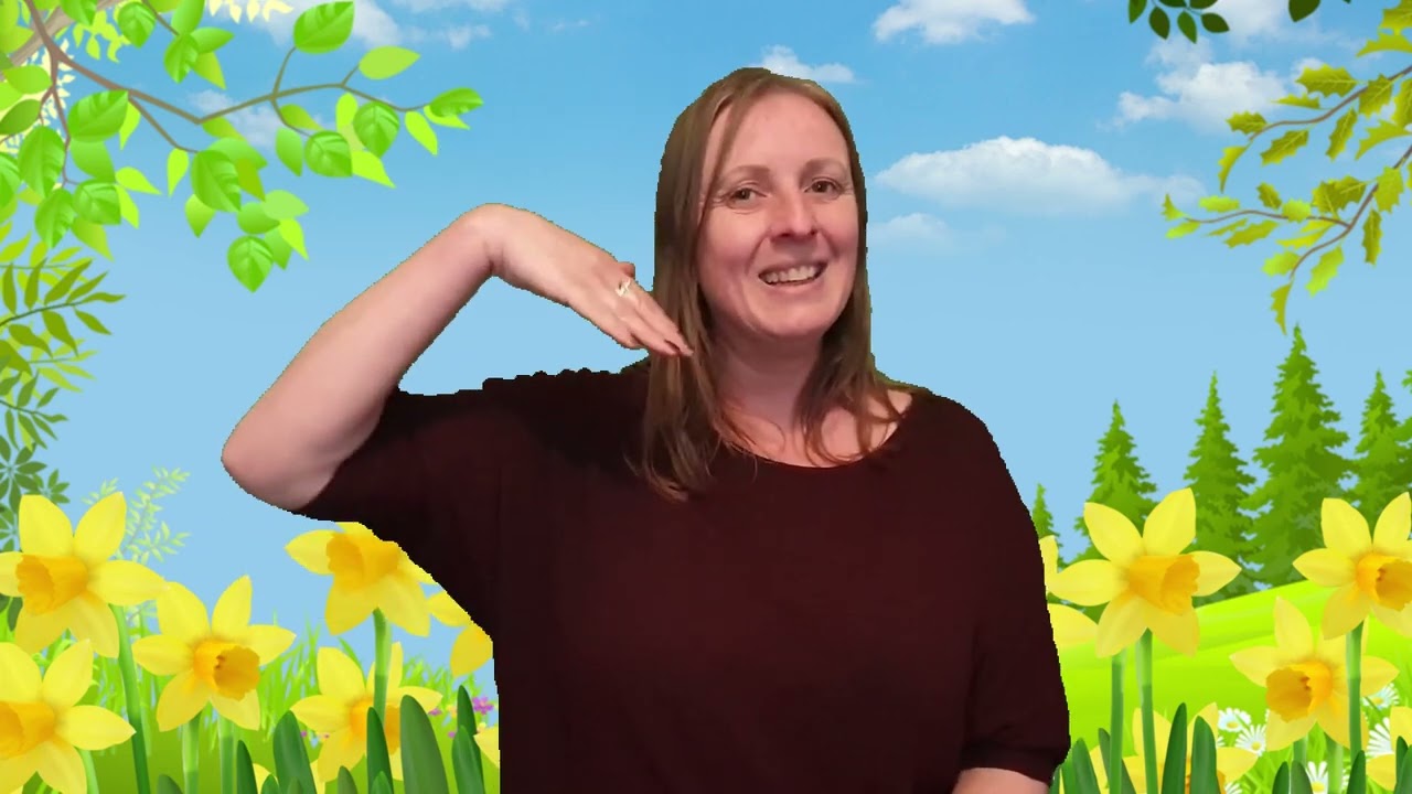 Flower in the Garden - Nick Cope - Signed with Makaton 🌼