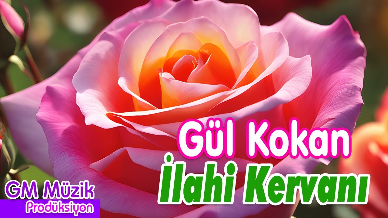 Gül Kokan İlahi Kervanı 💖 En Güzel İlahiler 💖 Karışık İlahiler   #ilahi #ilahiler #ilahidinle