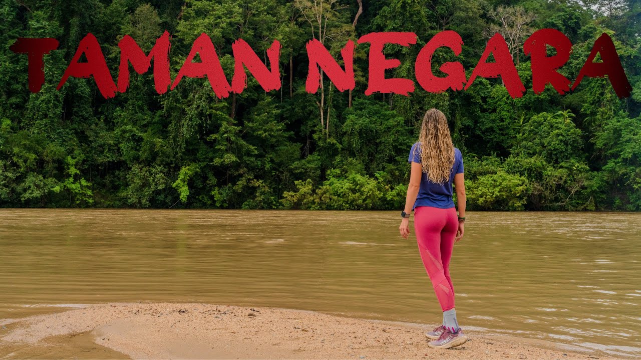 Vlog #47 MALAISIE 🇲🇾 : Taman Negara, Cette jungle est d’une richesse inestimable !