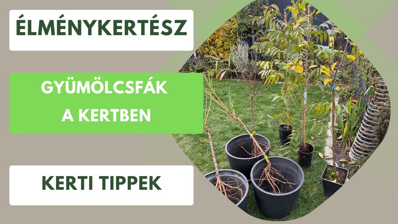 &Iacute;gy lesz saj&aacute;t gy&uuml;m&ouml;lcs&ouml;d a kertben k&ouml;nnyed&eacute;n! Kert&eacute;sz kurzus🍎🍒🍐