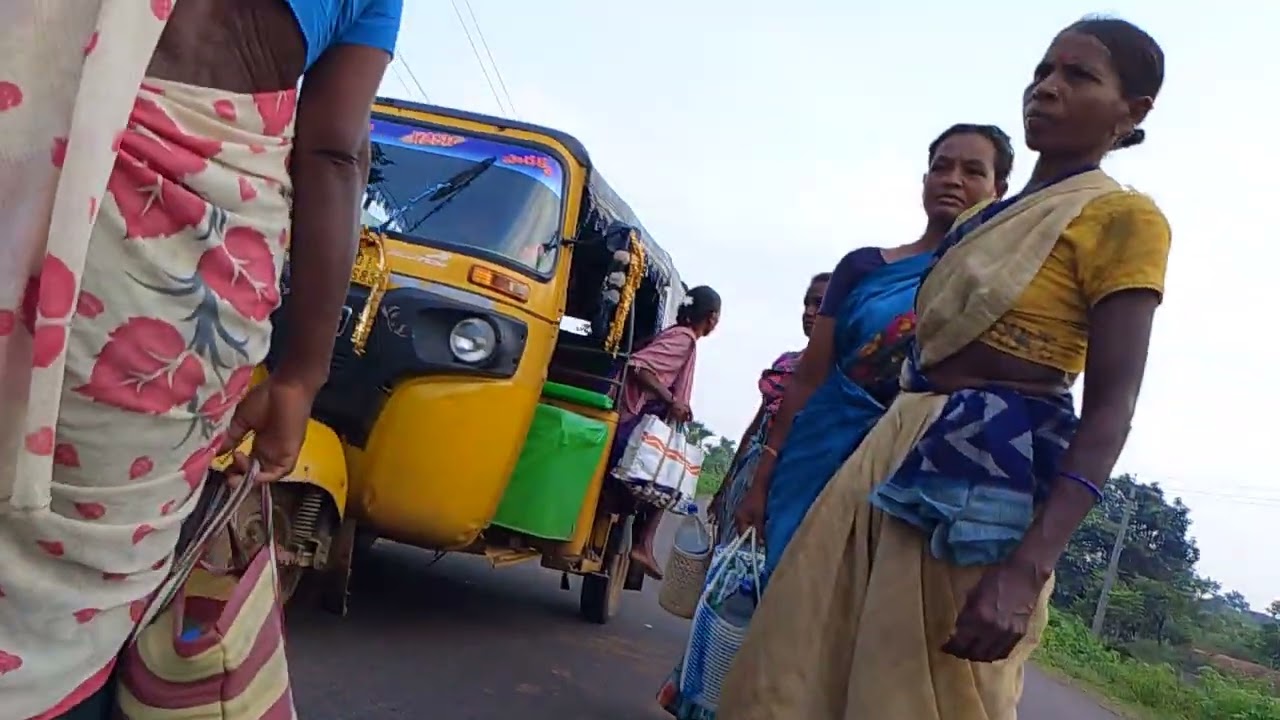 మా పొలంలో వరినాట్లు వేస్తున్న దృశ్యం మొదటి రోజు || Village Farming Videos 
