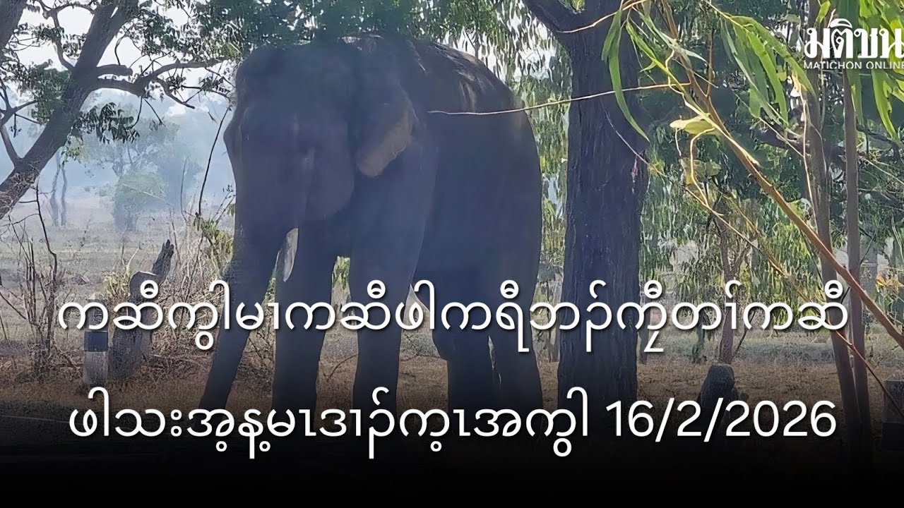 ကဆီကွါမၢကဆီဖါကရီဘၣ်ကၠီတၢ်ကဆီဖါသးအ့န့မၤဒၢၣ်က့ၤအကွါ 16/2/2026