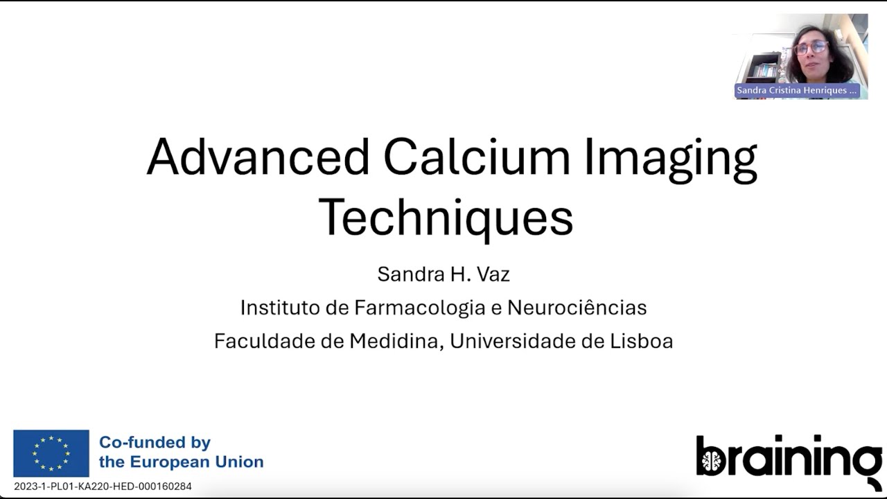 Advanced calcium imaging techniques