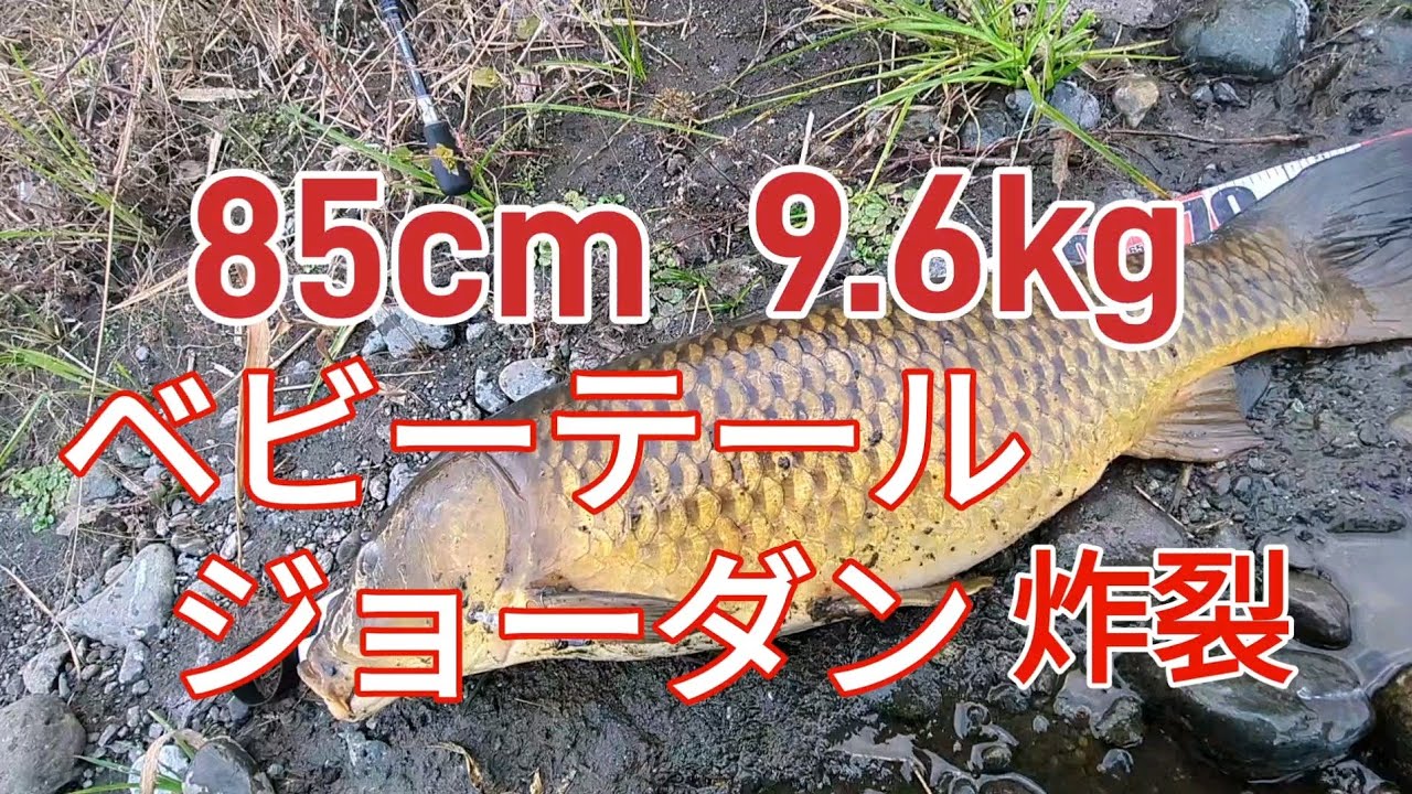 真冬の相模川でも巻きでブラウンを釣る法則　〜ワタクシの夢はミュージアムマイル〜
