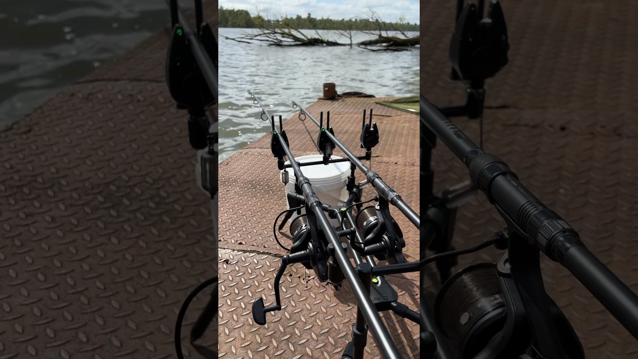 Fox Micron MX runnn !! 🔥🔥 #karpervissen #karper #fishing #carp #karpfen #vissen #liverun