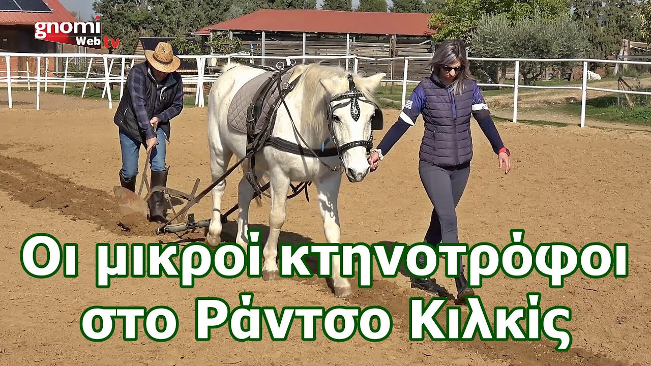 Οι μικροί κτηνοτρόφοι στο Ράντσο Κιλκίς