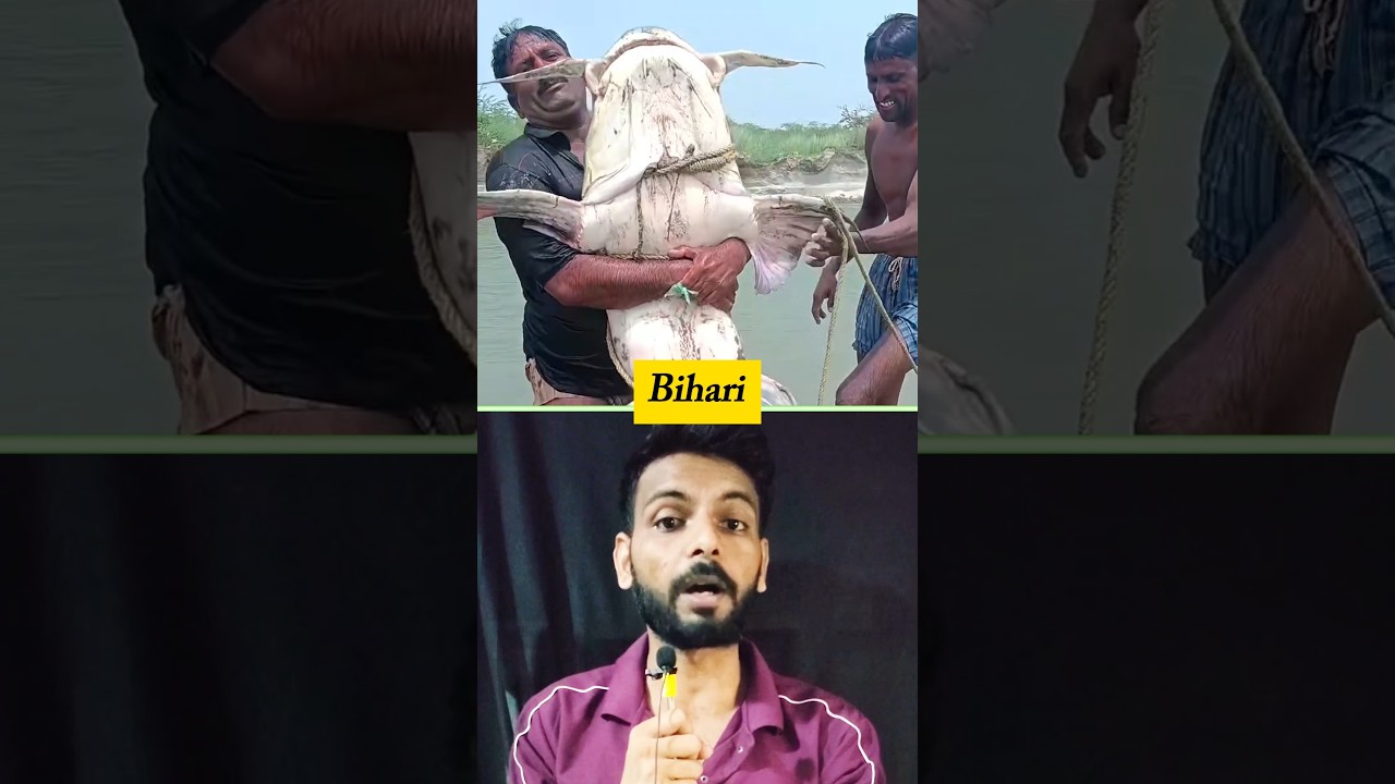 Reality of Bihar Fishes 😨 #trending  #nepal #bihar #fish
