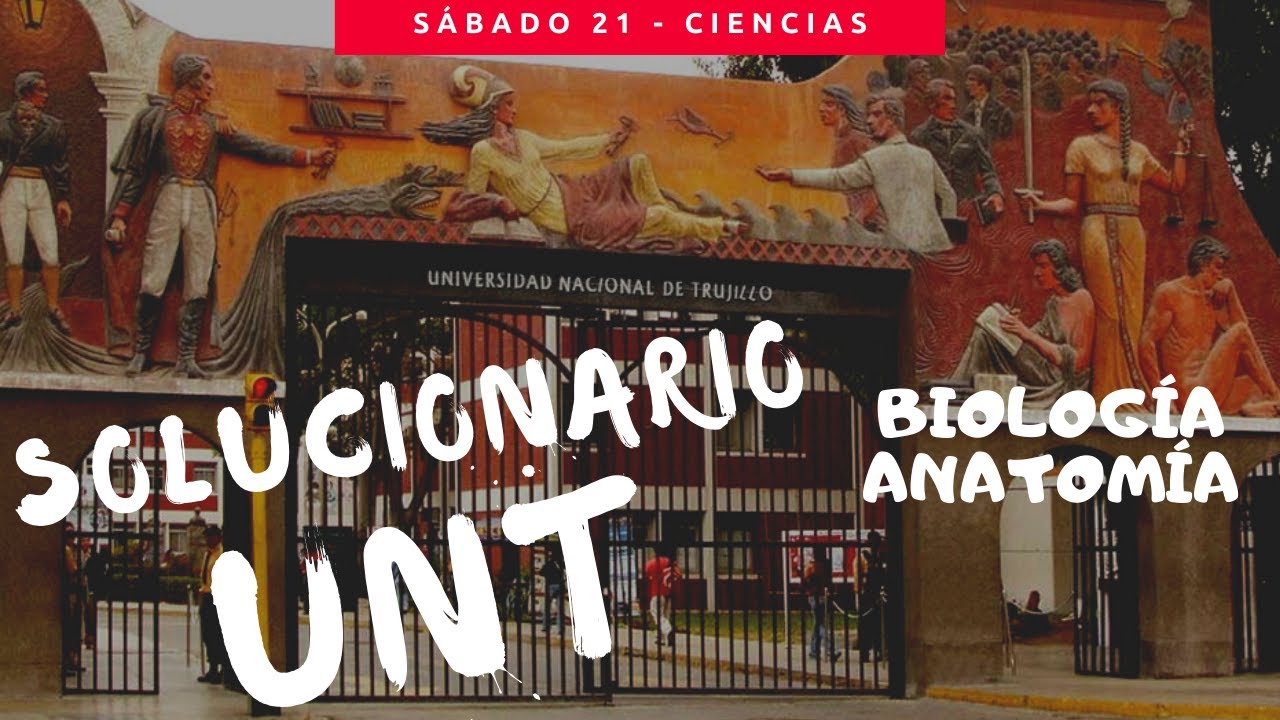 UNT Examen de admisión 2020 - 1 Solucionario Biología - Anatomía 💪 Área A - Ciencias - Ingeniería