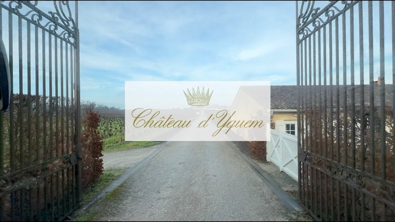 Voyage 2025 Association des Sommeliers Monégasques. Château d'Yquem (réal: G. Exposito)