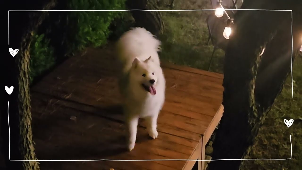 꼭꼭 숨어라