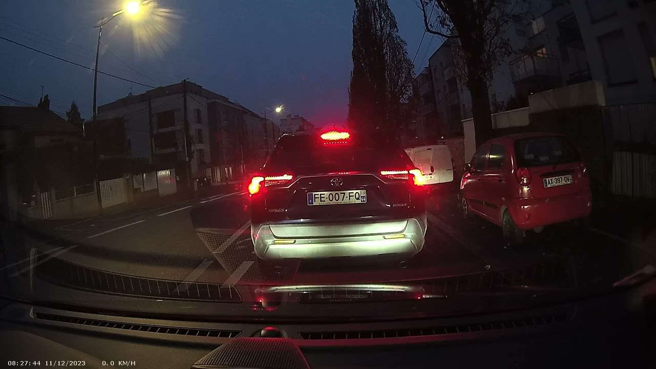 Daily Obs 49 - Le code de la route habituel du Nantais (mais c'est pareil ailleurs)