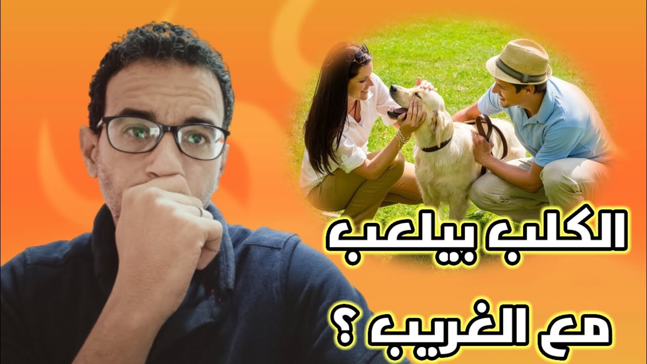 ازاي تمنع كلبك يلعب مع الغريب ؟ .. أكثر من سؤال وإجابة في تربية الكلاب