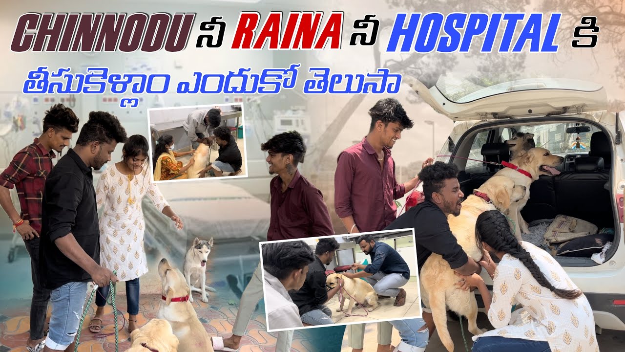 Chinnodu నీ Raina నీ Hospital కి తీసుకెళ్లాం ఎందుకో తెలుసా