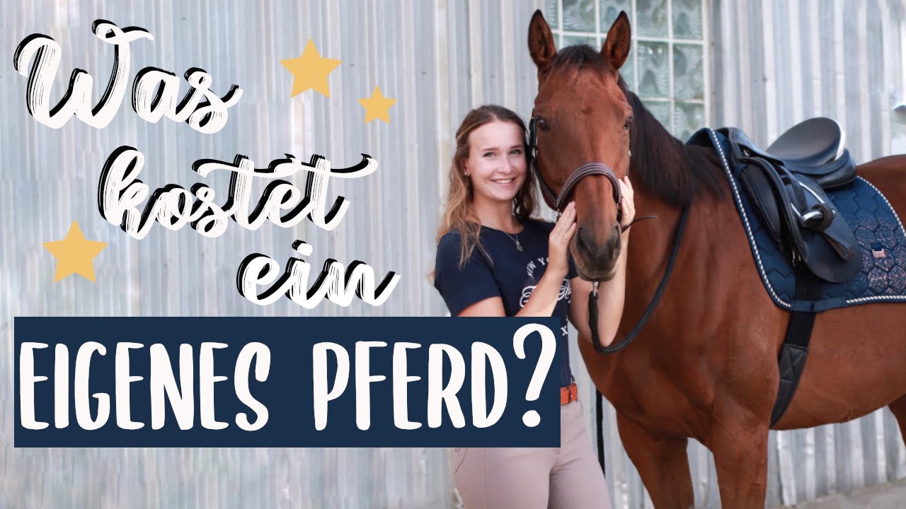 WAS KOSTET EIN EIGENES PFERD?!💸 | vic.adventure