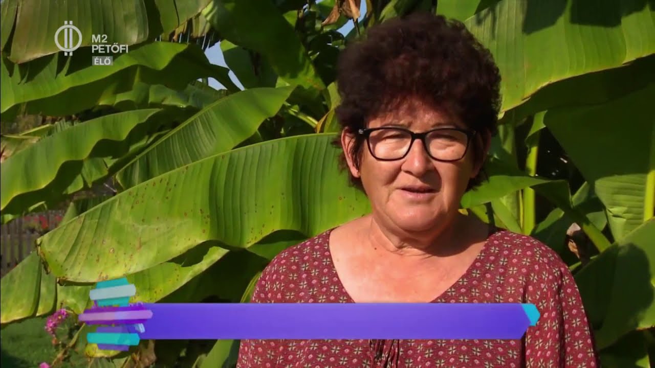 Banánmustra Rédicsen - M2 Én vagyok itt 2109-10-18